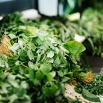 Rucola