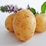 Potato, fresh