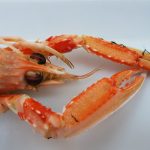 Cray fish